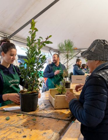 En plus de la distribution gratuite de plants (de 9h à 13h), avec les conseils de plusieurs professionnels, sont prévus de nombreux ateliers et animations. @Ville Lège-Cap Ferret