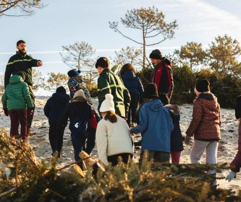 Symboliquement, ce sont des enfants qui disposent les sapins sur les dunes ©Ville de La Teste