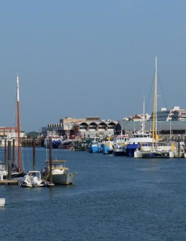 Les festivités se dérouleront ce dimanche 29 juin dans le quartier du port de pêche.