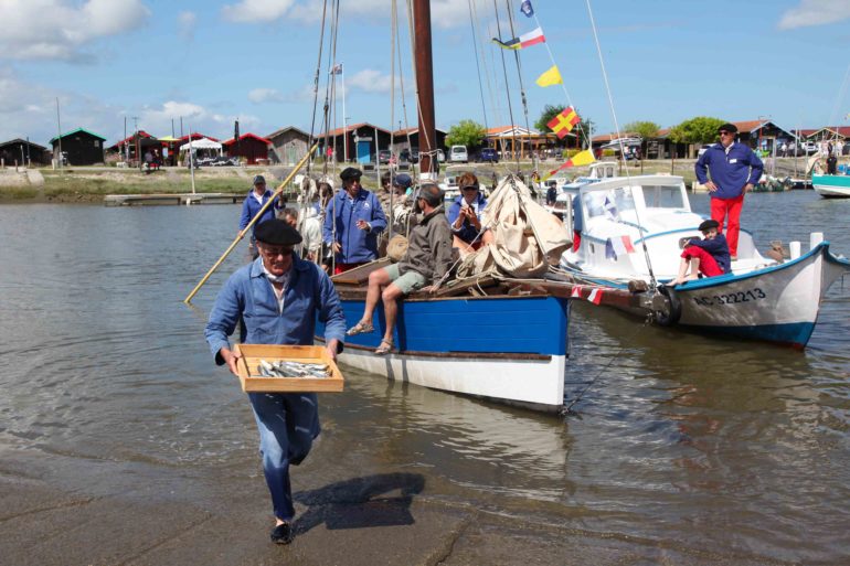 Retour de la pêche à la sardine