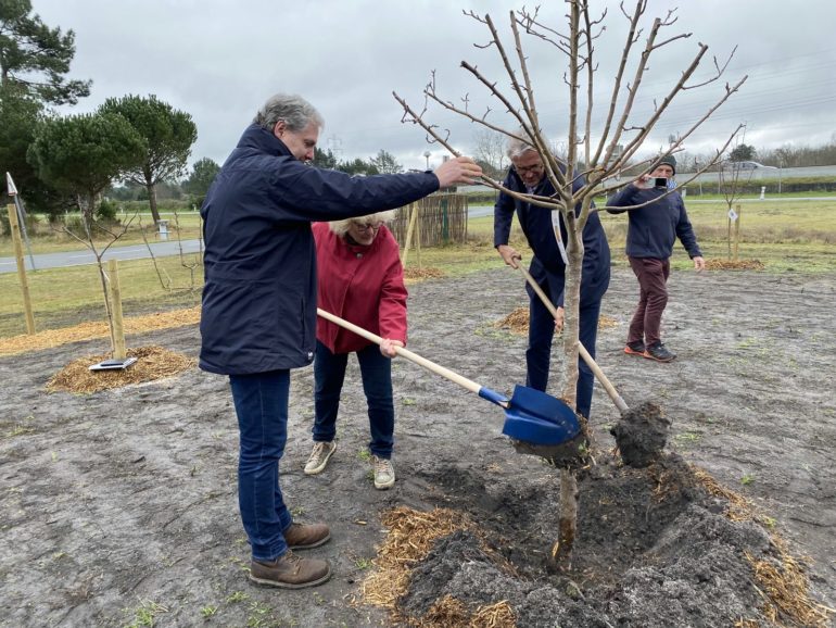 Sur une superficie de 900 m2,le verger est constitué de 120 arbres et arbustes fruitiers de 30 espèces différentes ! ©Ville de Gujan-Mestras