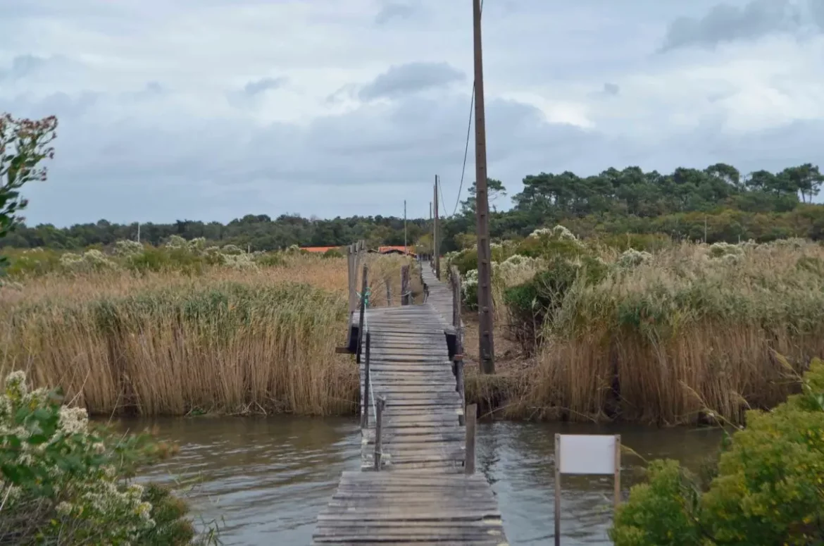 ile malprat biganos
