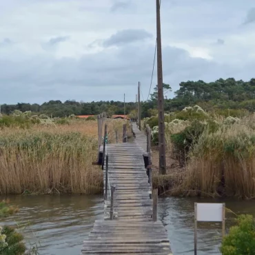 ile malprat biganos