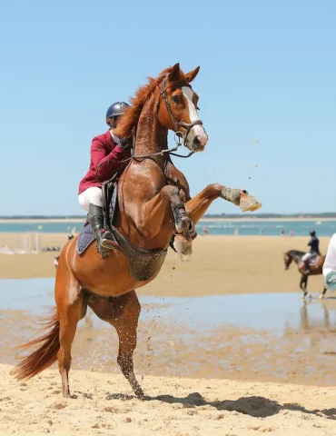 jumping arcachon