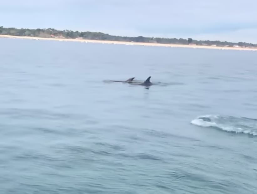 one ocean