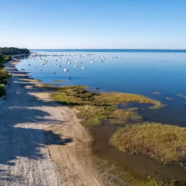 Images-sur-Mer 2023 : Le festival de la biodiversité marine