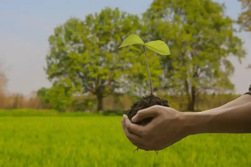 semaine du developpement durable 2023