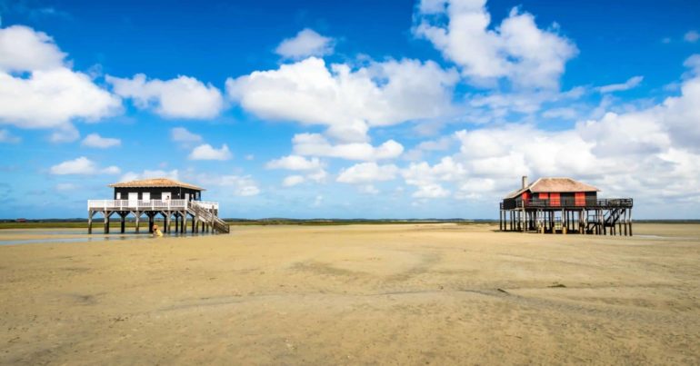 vue du Bassin d’Arcachon avec l’île aux Oiseaux et les cabanes tchanquées