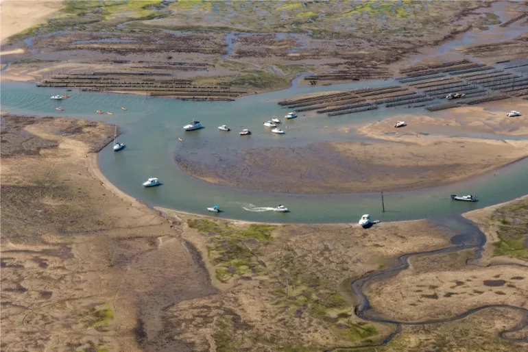 Vue aerienne de l'ile aux oiseaux