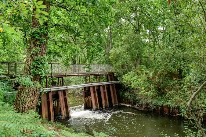 Parc de la cheneraie